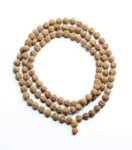 5 Mukhi Rudraksha Mala(6mm)