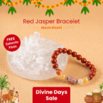 Aries (Mesh Rashi) Stone Bracelet with FREE Raw Selenite Plate